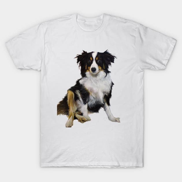 Mini Australian Shepherd